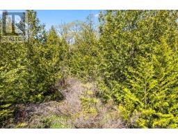 N/a Sutter Road Road W, Northern Bruce Peninsula, ON N0H1W0 Photo 36