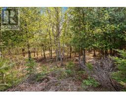 N/a Sutter Road Road W, Northern Bruce Peninsula, ON N0H1W0 Photo 43