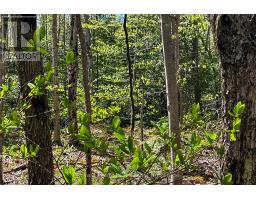N/a Sutter Road Road W, Northern Bruce Peninsula, ON N0H1W0 Photo 8