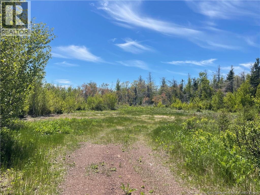 Lot 95-5 P'tit Barachois Road
