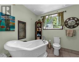 687 Zealand Road, Tay Valley, ON K0H2B0 Photo 27
