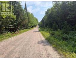 0 Stoney Road, Ryerson, ON P0A1C0 Photo 9