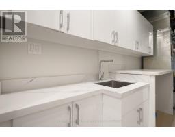 319b Horsham Avenue, Toronto, ON M2R1G7 Photo 39
