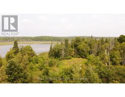 892 County Rd 40, Douro Dummer, ON K0L2V0 Photo 10