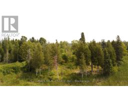 892 County Rd 40, Douro Dummer, ON K0L2V0 Photo 12