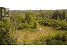 892 County Rd 40, Douro Dummer, ON K0L2V0 Photo 13