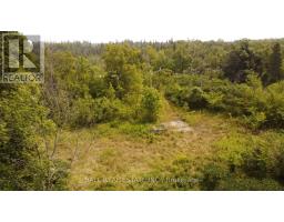 892 County Rd 40, Douro Dummer, ON K0L2V0 Photo 14