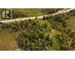 892 County Rd 40, Douro Dummer, ON K0L2V0 Photo 8