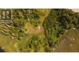 892 County Rd 40, Douro Dummer, ON K0L2V0 Photo 9