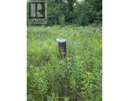2630 Mcmullen Road, Ottawa, ON K0G1J0 Photo 8