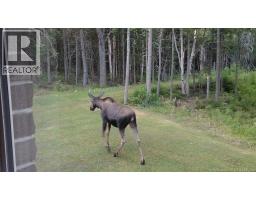3515 Route 530, Grande Digue, NB E4R5H4 Photo 45