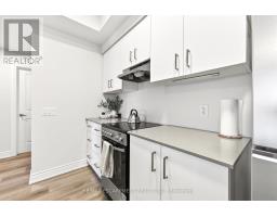 303 - 259 King Street E, Hamilton, ON L8G1L9 Photo 11