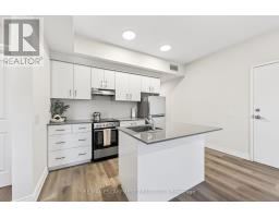 303 - 259 King Street E, Hamilton, ON L8G1L9 Photo 9