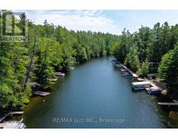 2006 South Beaver Lake Lane, Minden Hills, ON K0M2L1 Photo 14