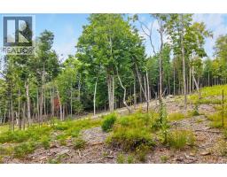 / Robert's Way, Keswick Ridge, NB E6L0C6 Photo 16