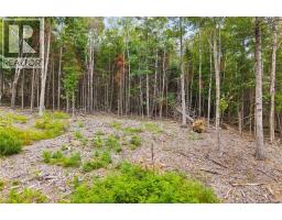 / Robert's Way, Keswick Ridge, NB E6L0C6 Photo 15