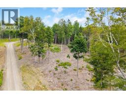/ Robert's Way, Keswick Ridge, NB E6L0C6 Photo 9