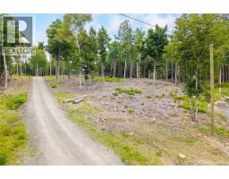 / Robert's Way, Keswick Ridge, NB E6L0C6 Photo 19