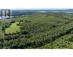 Lot 7 Milbury Road, Newburne, NS B0J2E0 Photo 9