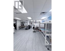 2nd Floor - 139 Mulock Avenue, Toronto, ON M6N1G9 Photo 6
