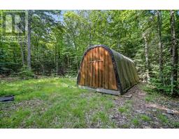3650 Muskoka Road 117, Lake Of Bays, ON P0B1A0 Photo 48