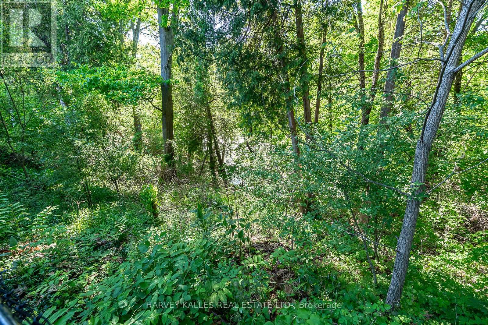 1033 FAIR BIRCH DRIVE - Image 43