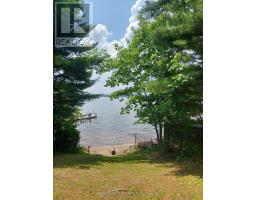 16431 Hwy 35, Algonquin Highlands, ON K0M1J1 Photo 23