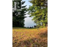 16431 Hwy 35, Algonquin Highlands, ON K0M1J1 Photo 24