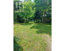 16431 Hwy 35, Algonquin Highlands, ON K0M1J1 Photo 28