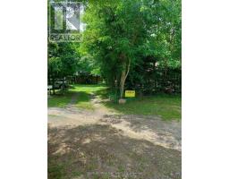 16431 Hwy 35, Algonquin Highlands, ON K0M1J1 Photo 31