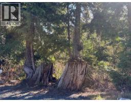1762 Cameron Cres, Qualicum Beach, BC V9K2S3 Photo 7