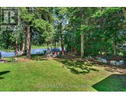 1 Aird Court, Georgina, ON L0E1A0 Photo 36