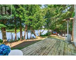 1 Aird Court, Georgina, ON L0E1A0 Photo 42
