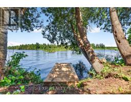 1 Aird Court, Georgina, ON L0E1A0 Photo 43