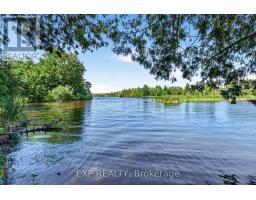 1 Aird Court, Georgina, ON L0E1A0 Photo 44