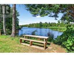 1 Aird Court, Georgina, ON L0E1A0 Photo 45