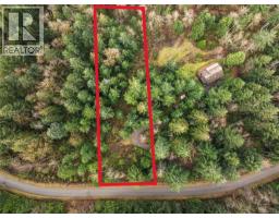 Lot A Strathcona Heights Rd, Shawnigan Lake, BC V8H2A9 Photo 7