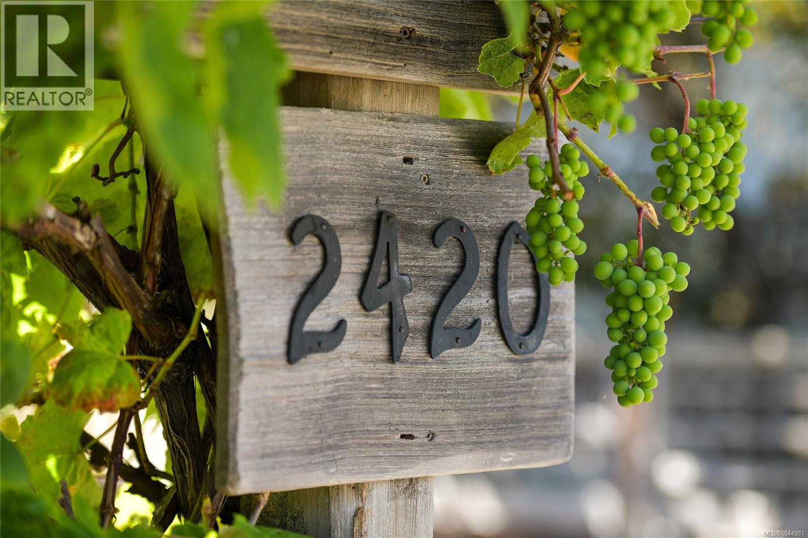  2420 Dryfe Street, Oak Bay