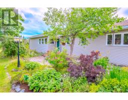510 Salmonier Line thumbnail 14
