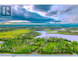 510 Salmonier Line thumbnail 12