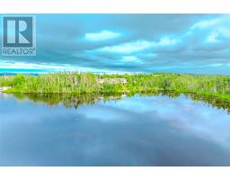 510 Salmonier Line thumbnail 44