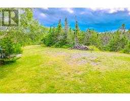 510 Salmonier Line thumbnail 47