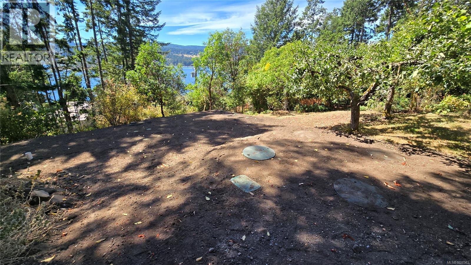 354 Old Scott Rd - 35