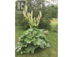 10 Lakeside Drive, Prince Edward County, ON K0K1T0 Photo 14