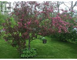 10 Lakeside Drive, Prince Edward County, ON K0K1T0 Photo 12