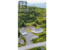 3 Burin Bay Crescent thumbnail 49