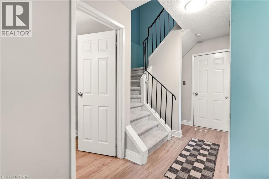 4 EILEEN Street - 6