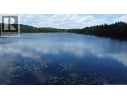 Big Salmon River Road, photo 4
