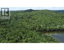 Big Salmon River Road, Fair View, NB E5R1L6 Photo 10
