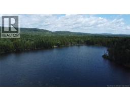 Big Salmon River Road, photo 5